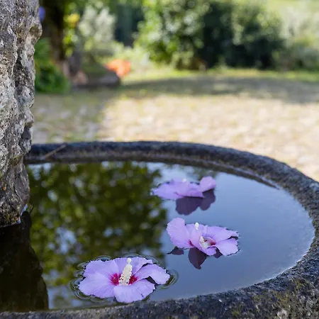 Quinta Da Comenda - Casa Da Bica Tatil Evi São Pedro do Sul