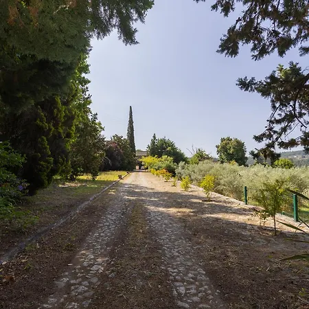 Quinta Da Comenda - Casa Da Bica Tatil Evi