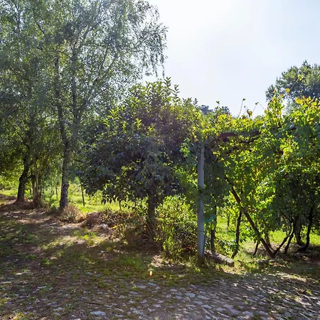 Quinta Da Comenda - Casa Da Bica * São Pedro do Sul