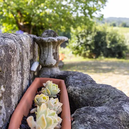 Quinta Da Comenda - Casa Da Bica Tatil Evi
