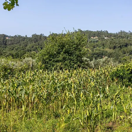 Tatil Evi Quinta Da Comenda - Casa Da Bica São Pedro do Sul