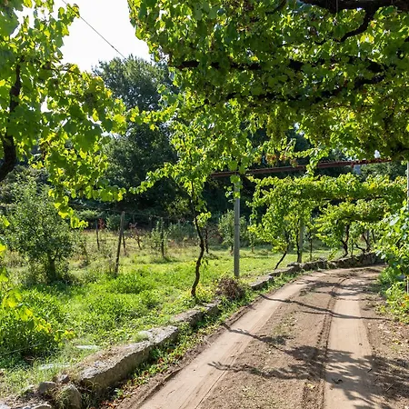 Quinta Da Comenda - Casa Da Bica São Pedro do Sul